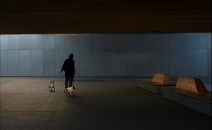 foto Harry Beemsterboer