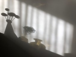 foto Marisja van Weegberg
