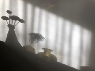 foto Marisja van Weegberg